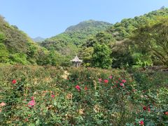 -广州市石门国家森林公园