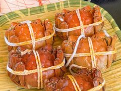 -蟹天蟹地农家菜·阳澄湖大闸蟹(浅水湾店)