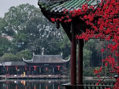 -棠湖公园