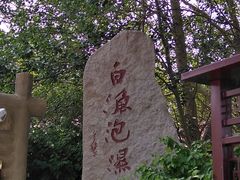 -白渔泡湿地公园