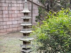 -三水森林公园