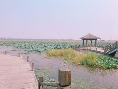 -焦岗湖旅游度假区