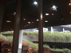 -星巴克(杭州市民中心店)