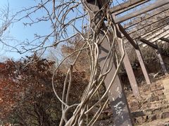 -缥缈峰景区
