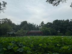 -房湖公园