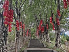 -丰都鬼城名山景区