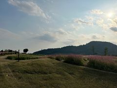 -径山花海