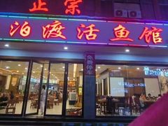 -岩泊渡桂鱼楼活鱼馆