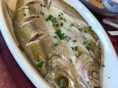 鱼-沈厅酒家(周庄店)