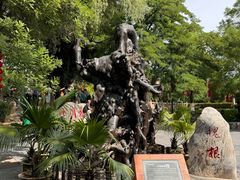 -大槐树寻根祭祖园