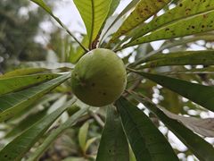 -中国移动南方基地