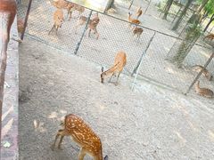 -扬州市茱萸湾风景区
