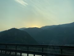 -杭州湾海上花田景区