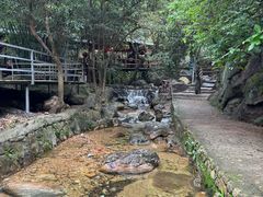 -牛鱼嘴原始生态风景区