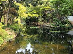 -秋霞圃