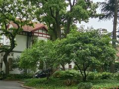 -申粤轩酒楼·三十年粤菜经典(丁香花园店)