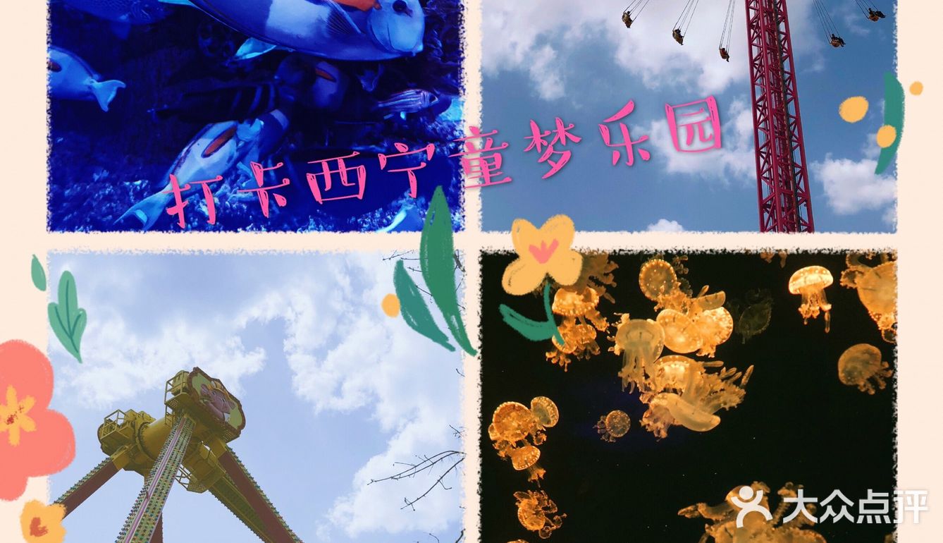 青海 西宁亲子/情侣出游圣地