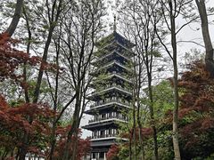 -宜兴龙背山森林公园