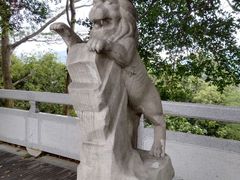 -银湖山郊野公园-相思林