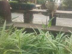 -大水车公馆·顺德菜·妈姐菜(均安店)