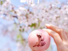 -云朵上的鱼(莘庄店)