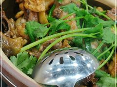 -华仔土鸡店(南洲分店)