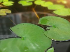 -韩城古城