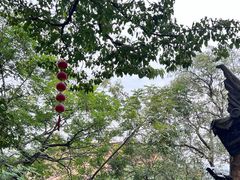 -云龙山