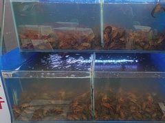 -羊家胡同·龙虾烧烤火锅(龙汇路店)