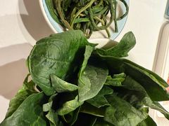 -凯鸽火锅城(五部迎宾东路店)