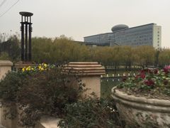 -上海市第一人民医院(松江南部)