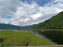 -腾冲北海湿地