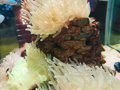 -太平洋海底世界