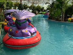 -南宫五洲植物乐园