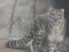 -青藏高原野生动物园
