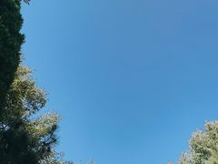 -日照海滨国家森林公园