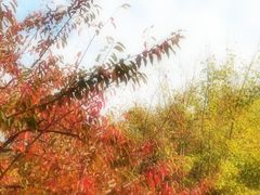 -大连植物园