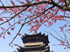 -杭州半山国家森林公园