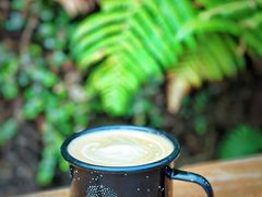 -怀托摩萤火虫洞