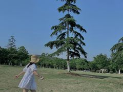 -钟山体育运动公园