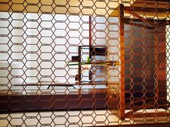 iphone_upload_pic-上海嘉定喜来登酒店