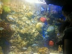 -洛阳龙门海洋馆
