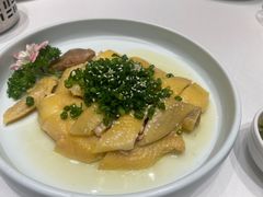 -新成海港大酒楼(康华路店)