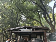 -马王堆汉墓遗址