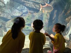-伊顿幼儿园(济南大地锐城校区)