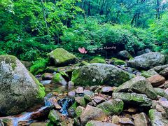 -五女峰国家森林公园