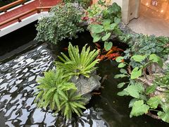 -白天鹅宾馆·流浮阁咖啡厅