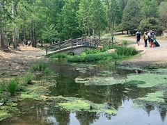 -白水寺森林公园