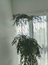 点击看大图 -HEYAN荷妍专业脱毛连锁机构