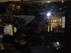iphone_upload_pic-大冰的小屋